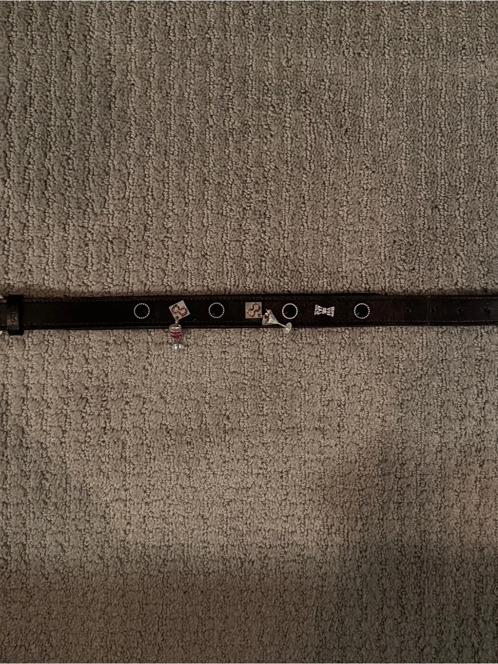 Concha Wine & Martini Studded Black Dog Collar